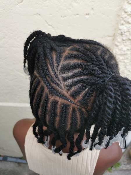 salon de coiffure afro tresse tresses box braids crochet braids vanilles tissages paris 75 77 78 91 92 93 94 95 NZILCLKR