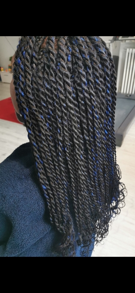 salon de coiffure afro tresse tresses box braids crochet braids vanilles tissages paris 75 77 78 91 92 93 94 95 EEDTKUEF