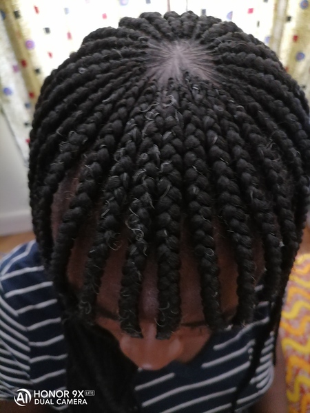 salon de coiffure afro tresse tresses box braids crochet braids vanilles tissages paris 75 77 78 91 92 93 94 95 DTKEKPUE