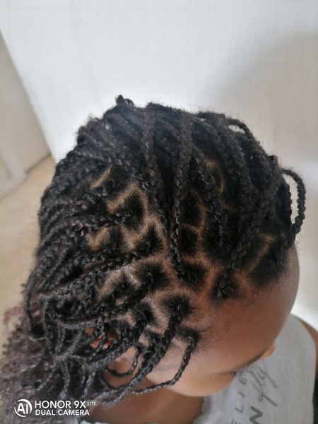 salon de coiffure afro tresse tresses box braids crochet braids vanilles tissages paris 75 77 78 91 92 93 94 95 FVPWECTA