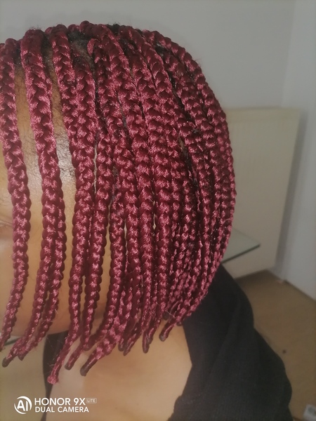salon de coiffure afro tresse tresses box braids crochet braids vanilles tissages paris 75 77 78 91 92 93 94 95 SAFQWRER