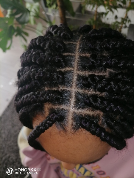 salon de coiffure afro tresse tresses box braids crochet braids vanilles tissages paris 75 77 78 91 92 93 94 95 VRMWEGAF