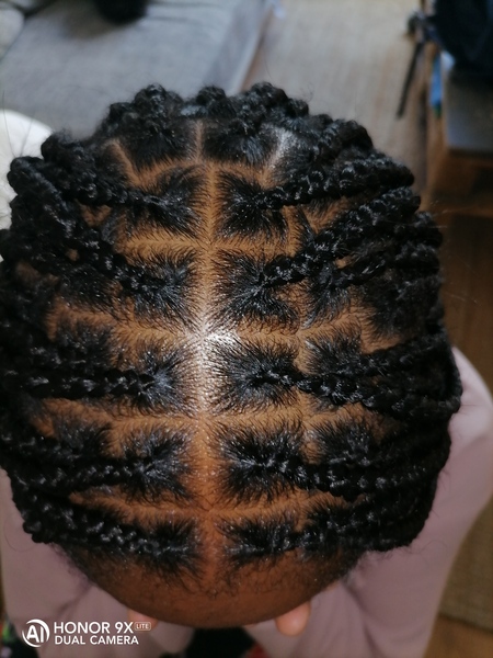 salon de coiffure afro tresse tresses box braids crochet braids vanilles tissages paris 75 77 78 91 92 93 94 95 ERJTYABX