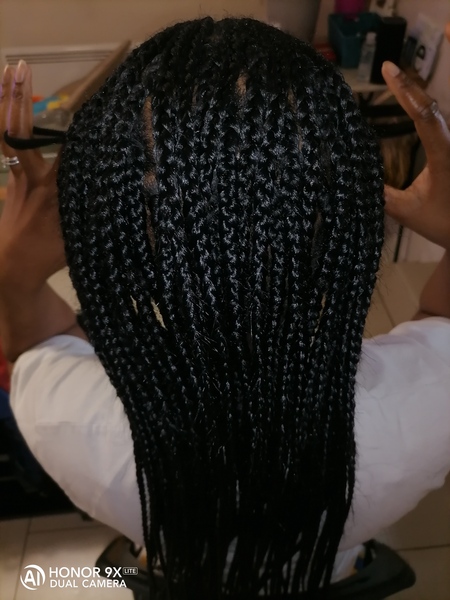 salon de coiffure afro tresse tresses box braids crochet braids vanilles tissages paris 75 77 78 91 92 93 94 95 BSFHOCSB