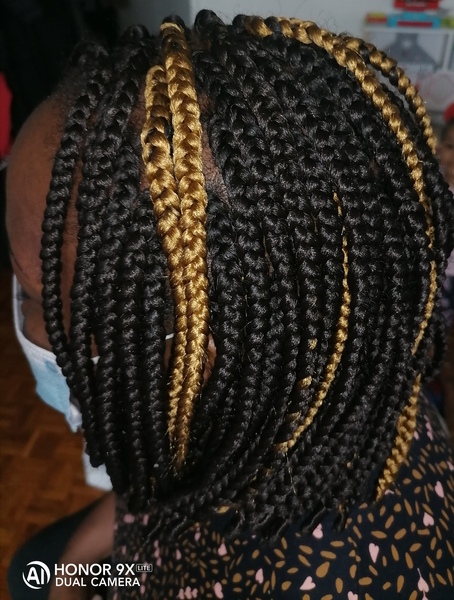 salon de coiffure afro tresse tresses box braids crochet braids vanilles tissages paris 75 77 78 91 92 93 94 95 SQYFMQAZ