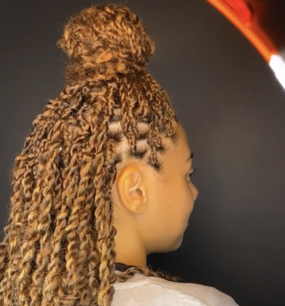 salon de coiffure afro tresse tresses box braids crochet braids vanilles tissages paris 75 77 78 91 92 93 94 95 UCAQVKEL