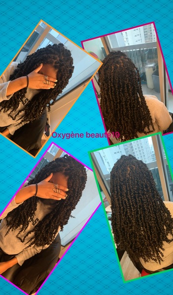 salon de coiffure afro tresse tresses box braids crochet braids vanilles tissages paris 75 77 78 91 92 93 94 95 CDBUFHHF