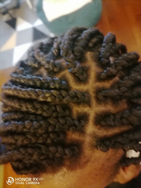 salon de coiffure afro tresse tresses box braids crochet braids vanilles tissages paris 75 77 78 91 92 93 94 95 EVSWAONY