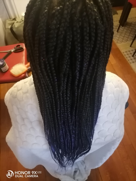 salon de coiffure afro tresse tresses box braids crochet braids vanilles tissages paris 75 77 78 91 92 93 94 95 DVOCWIUX