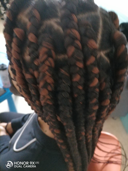 salon de coiffure afro tresse tresses box braids crochet braids vanilles tissages paris 75 77 78 91 92 93 94 95 UDNMRTIB