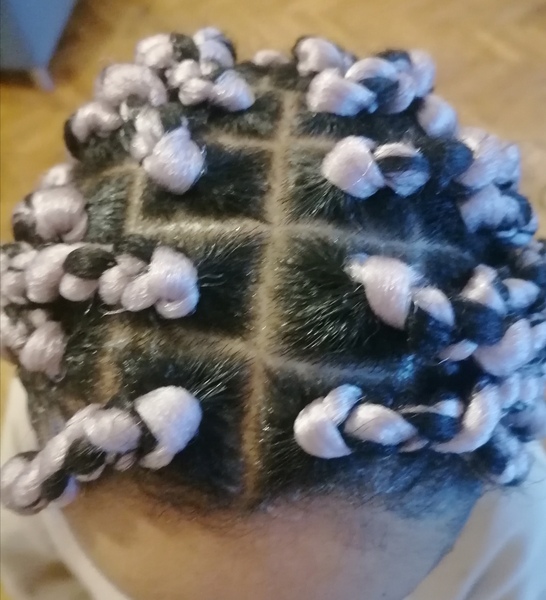 salon de coiffure afro tresse tresses box braids crochet braids vanilles tissages paris 75 77 78 91 92 93 94 95 NRYSKNKX