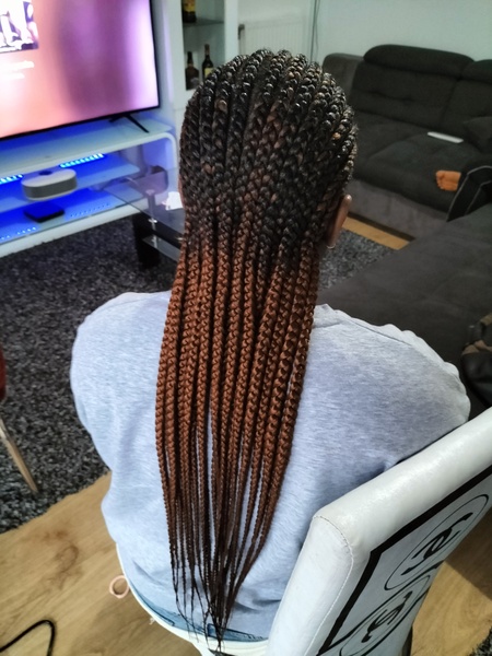 salon de coiffure afro tresse tresses box braids crochet braids vanilles tissages paris 75 77 78 91 92 93 94 95 FLBOCNJG