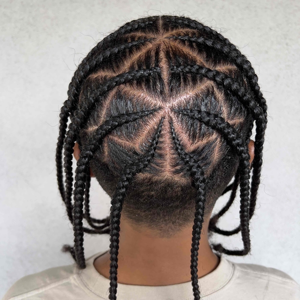 salon de coiffure afro tresse tresses box braids crochet braids vanilles tissages paris 75 77 78 91 92 93 94 95 ECQBUCPO