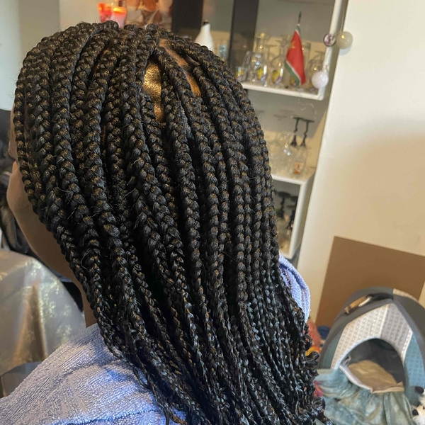 salon de coiffure afro tresse tresses box braids crochet braids vanilles tissages paris 75 77 78 91 92 93 94 95 QIMHLWKB