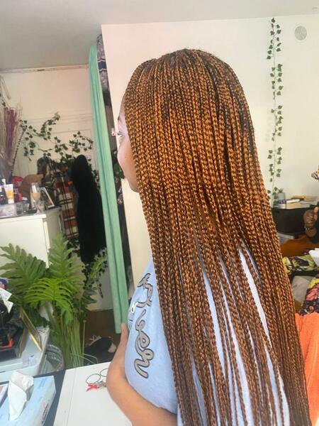 salon de coiffure afro tresse tresses box braids crochet braids vanilles tissages paris 75 77 78 91 92 93 94 95 AFQWQAFA