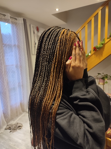 salon de coiffure afro tresse tresses box braids crochet braids vanilles tissages paris 75 77 78 91 92 93 94 95 GIYLJTKC