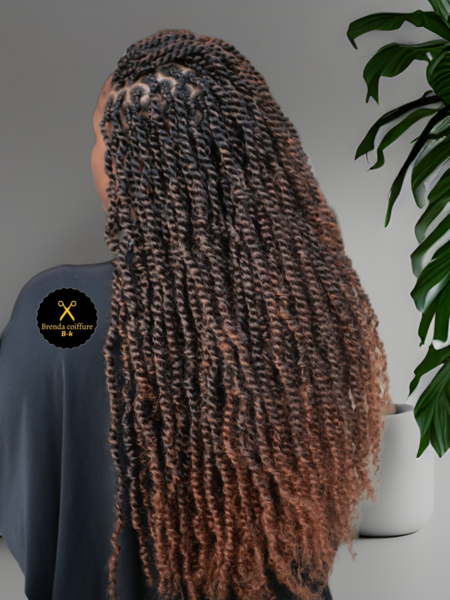 salon de coiffure afro tresse tresses box braids crochet braids vanilles tissages paris 75 77 78 91 92 93 94 95 IQYZEAOJ