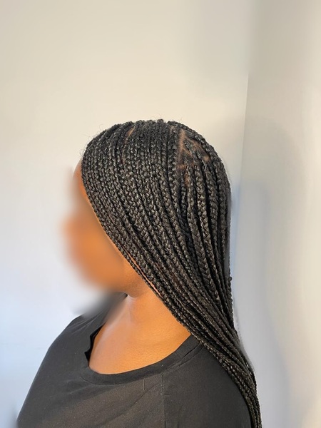 salon de coiffure afro tresse tresses box braids crochet braids vanilles tissages paris 75 77 78 91 92 93 94 95 OTIEIQSL