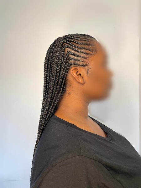 salon de coiffure afro tresse tresses box braids crochet braids vanilles tissages paris 75 77 78 91 92 93 94 95 EMWDRIBN