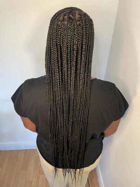 salon de coiffure afro tresse tresses box braids crochet braids vanilles tissages paris 75 77 78 91 92 93 94 95 OLPJMGYS