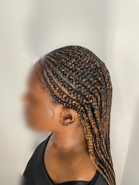 salon de coiffure afro tresse tresses box braids crochet braids vanilles tissages paris 75 77 78 91 92 93 94 95 LMNWASZV