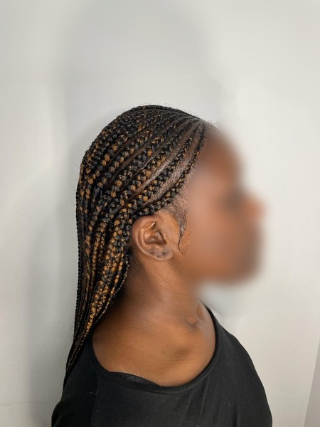 salon de coiffure afro tresse tresses box braids crochet braids vanilles tissages paris 75 77 78 91 92 93 94 95 JVYRUSRP