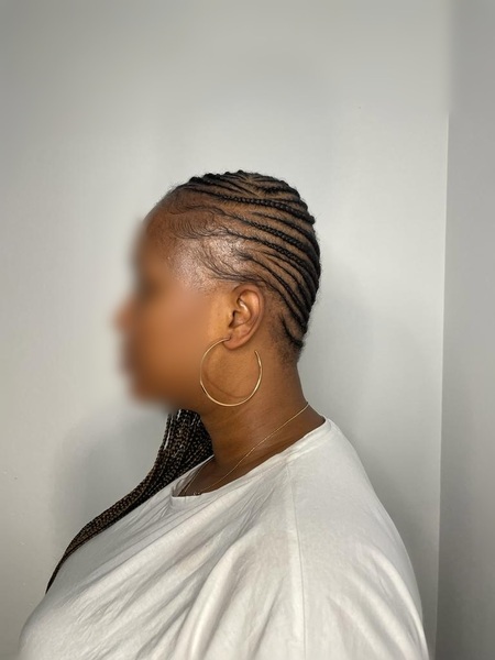 salon de coiffure afro tresse tresses box braids crochet braids vanilles tissages paris 75 77 78 91 92 93 94 95 EKZQCMMS