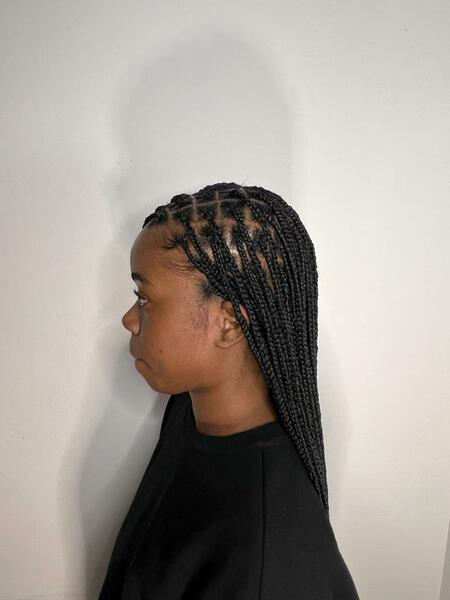 salon de coiffure afro tresse tresses box braids crochet braids vanilles tissages paris 75 77 78 91 92 93 94 95 HNFDACOA