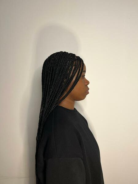 salon de coiffure afro tresse tresses box braids crochet braids vanilles tissages paris 75 77 78 91 92 93 94 95 SMHFAZEE