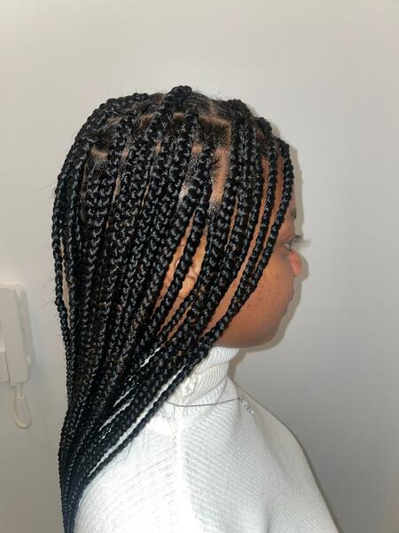 salon de coiffure afro tresse tresses box braids crochet braids vanilles tissages paris 75 77 78 91 92 93 94 95 NUKXFGRP