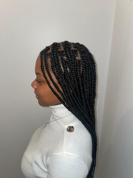 salon de coiffure afro tresse tresses box braids crochet braids vanilles tissages paris 75 77 78 91 92 93 94 95 NWVFEPBK