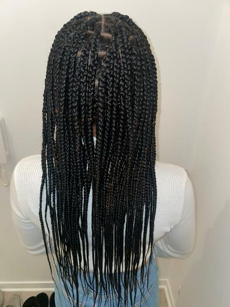salon de coiffure afro tresse tresses box braids crochet braids vanilles tissages paris 75 77 78 91 92 93 94 95 UUFPJPSA