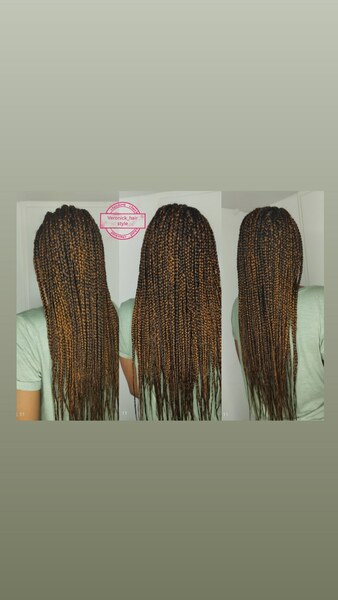 salon de coiffure afro tresse tresses box braids crochet braids vanilles tissages paris 75 77 78 91 92 93 94 95 LZDOTHAO