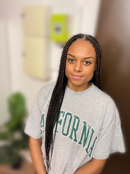 salon de coiffure afro tresse tresses box braids crochet braids vanilles tissages paris 75 77 78 91 92 93 94 95 IECSPHJQ