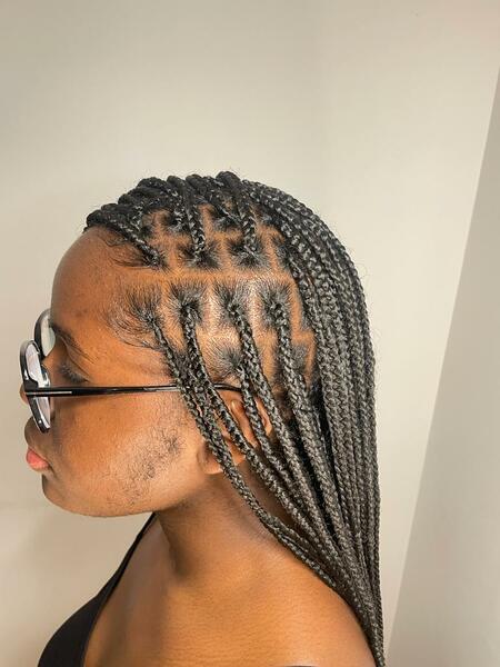 salon de coiffure afro tresse tresses box braids crochet braids vanilles tissages paris 75 77 78 91 92 93 94 95 QNVBZJKJ