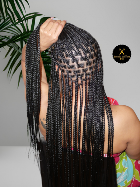 salon de coiffure afro tresse tresses box braids crochet braids vanilles tissages paris 75 77 78 91 92 93 94 95 RHWRJNGK