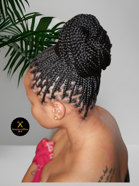 salon de coiffure afro tresse tresses box braids crochet braids vanilles tissages paris 75 77 78 91 92 93 94 95 HFEYUCHV