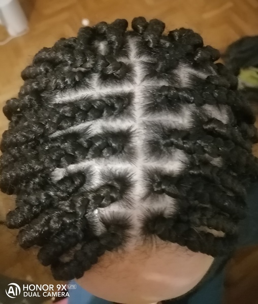 salon de coiffure afro tresse tresses box braids crochet braids vanilles tissages paris 75 77 78 91 92 93 94 95 DAXKZKEM