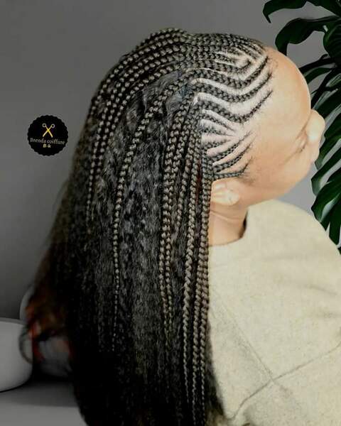 salon de coiffure afro tresse tresses box braids crochet braids vanilles tissages paris 75 77 78 91 92 93 94 95 DTKKMJSZ