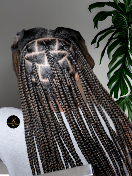 salon de coiffure afro tresse tresses box braids crochet braids vanilles tissages paris 75 77 78 91 92 93 94 95 VJQYHVVZ