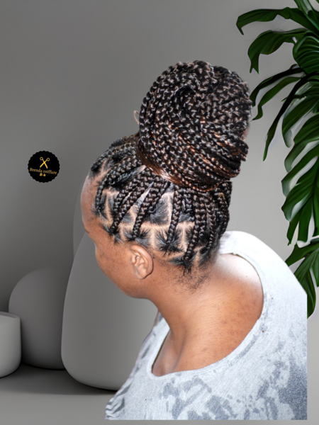 salon de coiffure afro tresse tresses box braids crochet braids vanilles tissages paris 75 77 78 91 92 93 94 95 SGGEYVJY