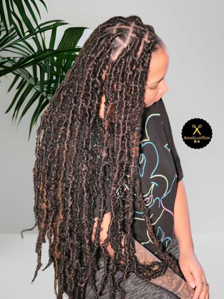 salon de coiffure afro tresse tresses box braids crochet braids vanilles tissages paris 75 77 78 91 92 93 94 95 BHDYCYDG