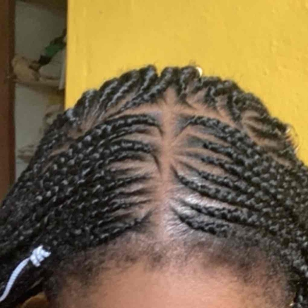 salon de coiffure afro tresse tresses box braids crochet braids vanilles tissages paris 75 77 78 91 92 93 94 95 QMKULIXM