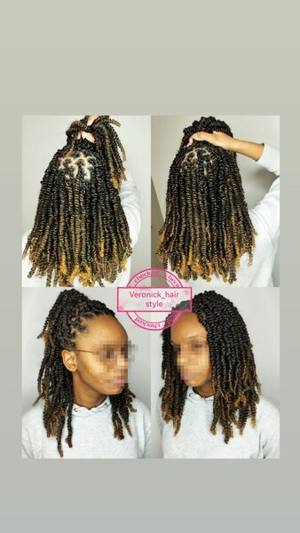 salon de coiffure afro tresse tresses box braids crochet braids vanilles tissages paris 75 77 78 91 92 93 94 95 NTLLPLYU