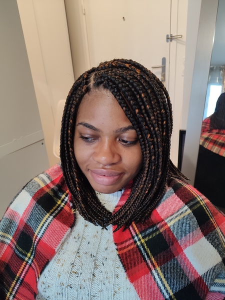 salon de coiffure afro tresse tresses box braids crochet braids vanilles tissages paris 75 77 78 91 92 93 94 95 DHIATRWM