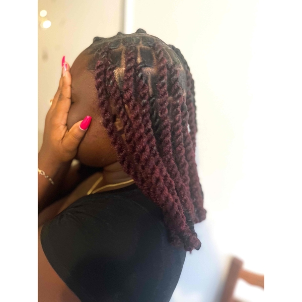 salon de coiffure afro tresse tresses box braids crochet braids vanilles tissages paris 75 77 78 91 92 93 94 95 QMSAXBID