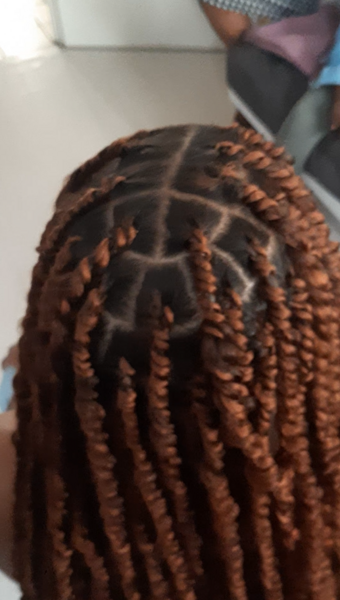 salon de coiffure afro tresse tresses box braids crochet braids vanilles tissages paris 75 77 78 91 92 93 94 95 JYTLLZOH