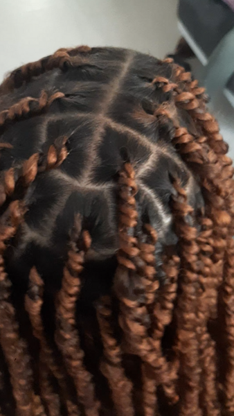 salon de coiffure afro tresse tresses box braids crochet braids vanilles tissages paris 75 77 78 91 92 93 94 95 NMRBGXWU