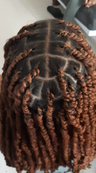 salon de coiffure afro tresse tresses box braids crochet braids vanilles tissages paris 75 77 78 91 92 93 94 95 HWHWRDME