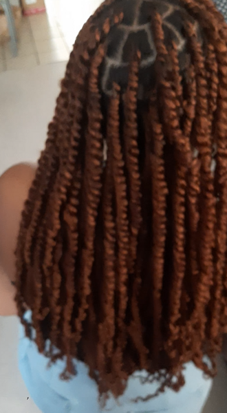 salon de coiffure afro tresse tresses box braids crochet braids vanilles tissages paris 75 77 78 91 92 93 94 95 YLLMKSUV
